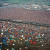 Isle of Wight Festival 1969! Isle of Wight Festival 1969!