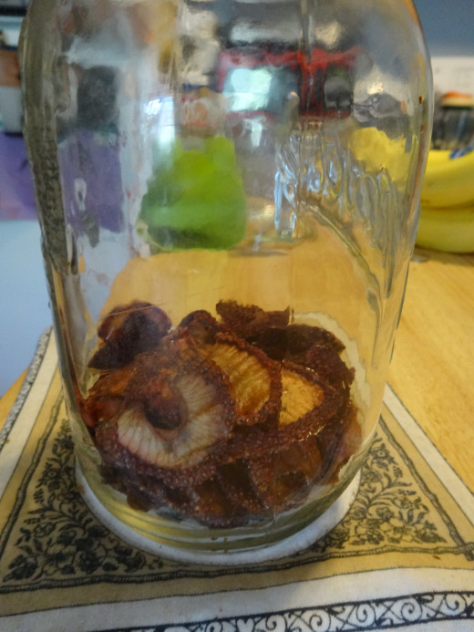 Fill a jar, or 2, with your dehydrated fruit.