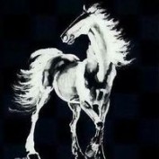 shadowfax profile image