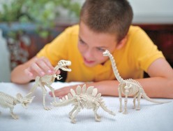Mineral Rock and Fossil Kits for Kids