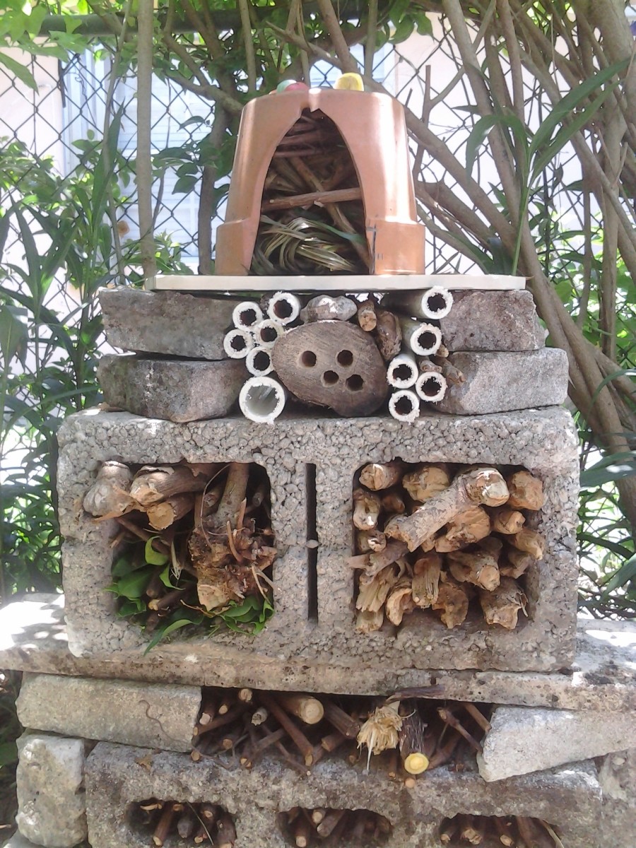 My insect hotel