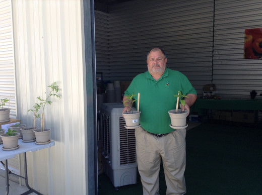 David putting out some pepper plants at Trader's Village in San Antonio, space 1187.