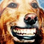 NewsHound profile image