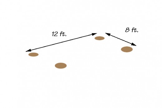 The layout of the holes. Try to place them on flat ground, but you can vary the length of the posts to make the rack level.