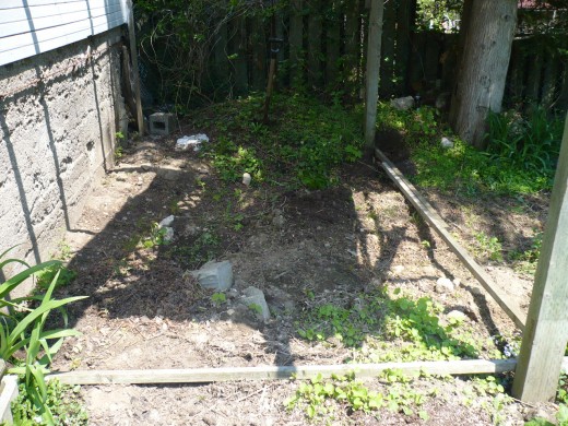 We leveled this area and began framing the raised vegetable garden to the 4x4 posts of the old rabbit pen.