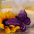 Cake by Mackenzie Hewerdine Cake by Mackenzie Hewerdine