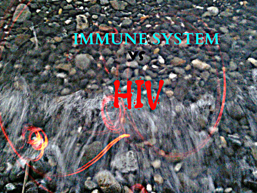 Immune System versus HIV