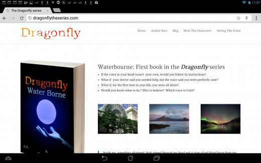 A simple site built using wordpress, but still very effective. The page includes a signup form below the pictures so readers can learn when the next book or short story is released. 