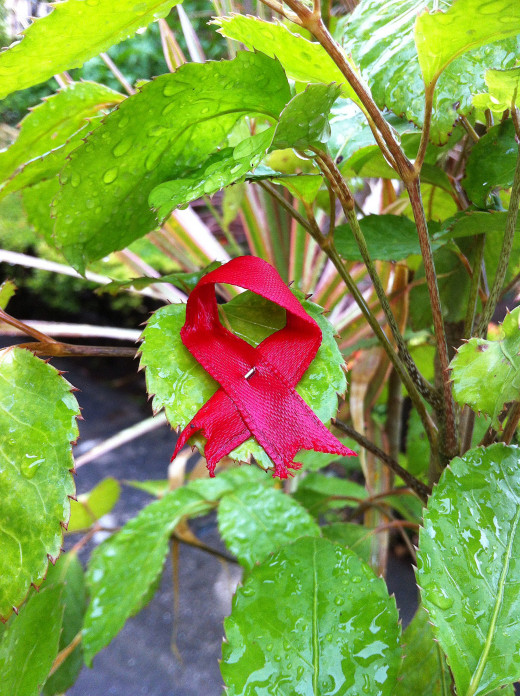 Hope after the rain