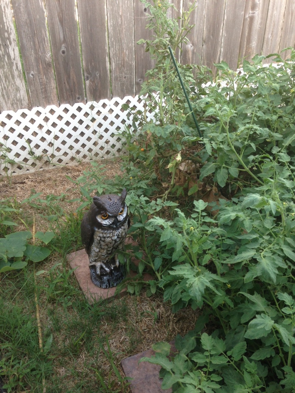 10 Uses for a Plastic Garden Owl