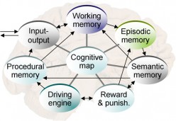 Cognitive Anthropology