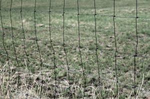 Woven wire fence in a field