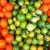 fruits fruits