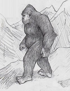 What Is The Secret of Bigfoot?