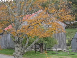 A barn in the fall like the one built on the King farm.