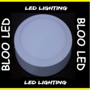 light zone profile image