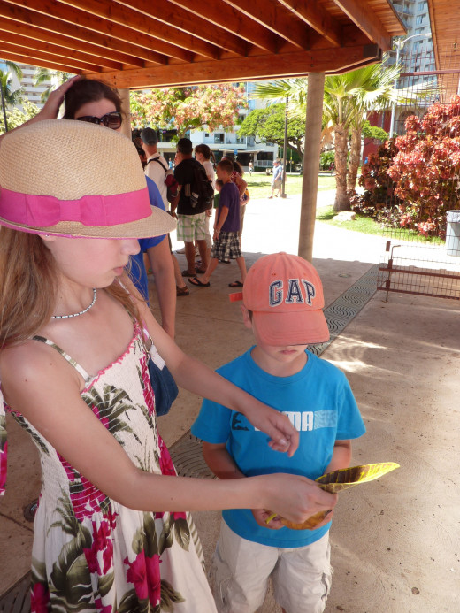 After a long walk to the zoo from Waikiki.  Navigating Waikiki by foot takes a little pre-planning and age appropriate discretion.