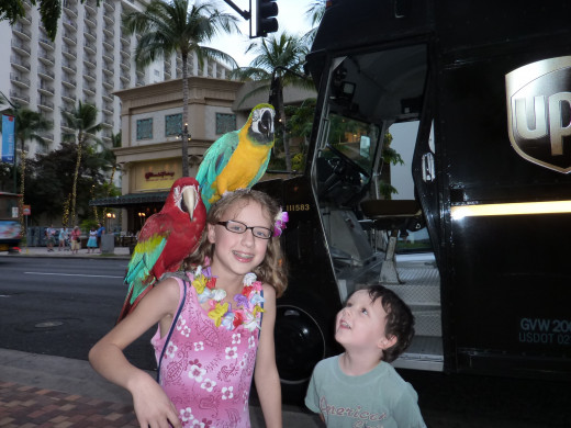 The Waikiki experience.