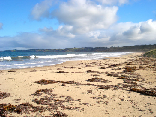 Looking Towards Flinders