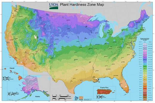 Most of the flowers in this article grow in the yellow to orange planting zones on the map.