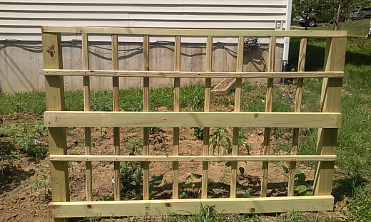Wooden trellis, similar to that explained in Hub.