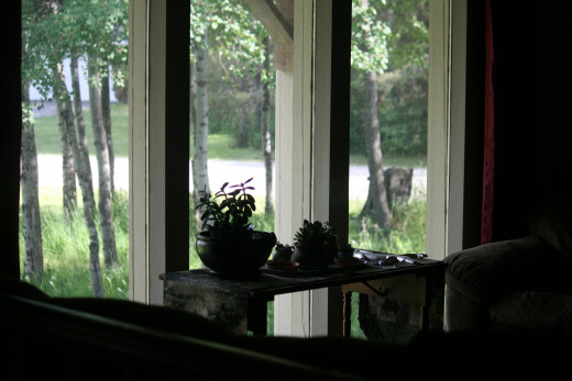 Consider your indoor moss garden options as well.  This could be a simple way to start.  If I opt for an indoor version it will go in this window area.