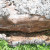 Bark beetle frass from under the bark of this log made great miniature bark for my trail. Chunks of bark were the roof for my "toad abode" tucked under the deck. Bark beetle frass from under the bark of this log made great miniature bark for my trail. Chunks of bark were the roof for my "toad abode" tucked under the deck.
