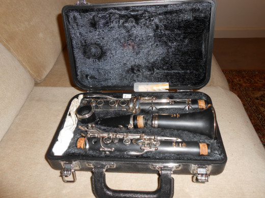 I have already been selling items here and there on eBay over the past few months and my biggest sale was this clarinet that I sold for $149.99 in 19 minutes!
