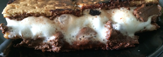 Darkened graham cracker, bubbling marshmallows and melted chocolate.