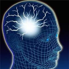 The distinctions between intellect and instinct are both originated in the brain, but each use a different method 