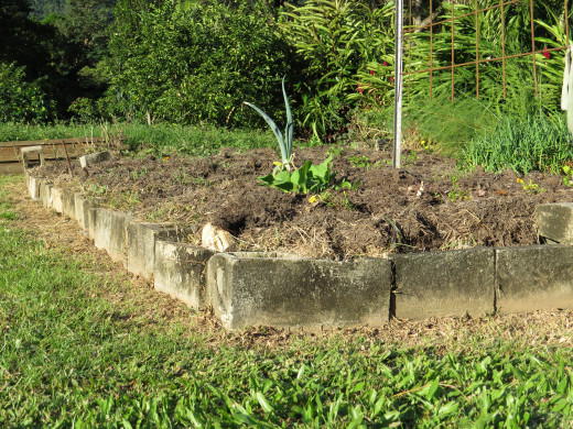 Vegetable Garden border using concrete masonry blocks