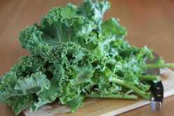 Healthy and Easy Kale Chip Recipe