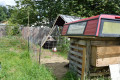 What Does a Frugal Urban Farm Look Like?