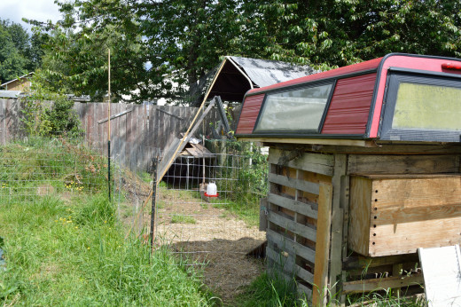 Our chickens' happy home