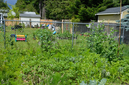Peas, beans, fennel, and potatoes