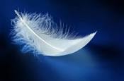 Angel feather