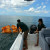 Pulling the paddle boat in.