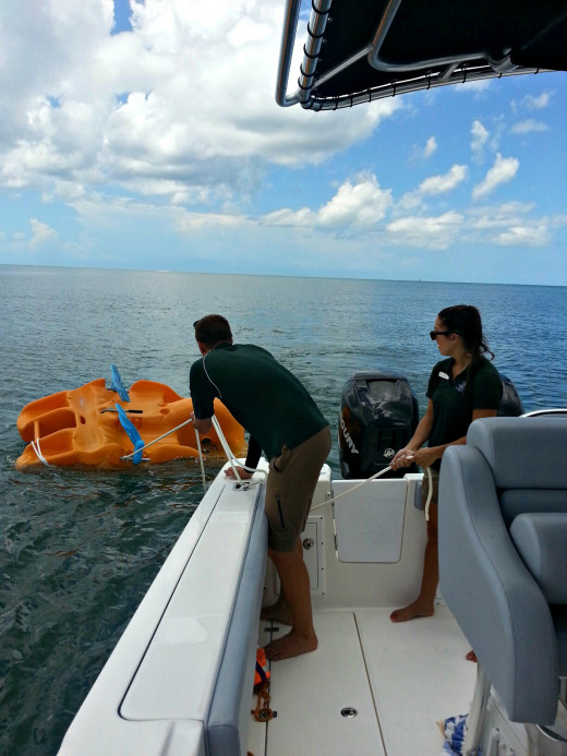 Pulling the paddle boat in.