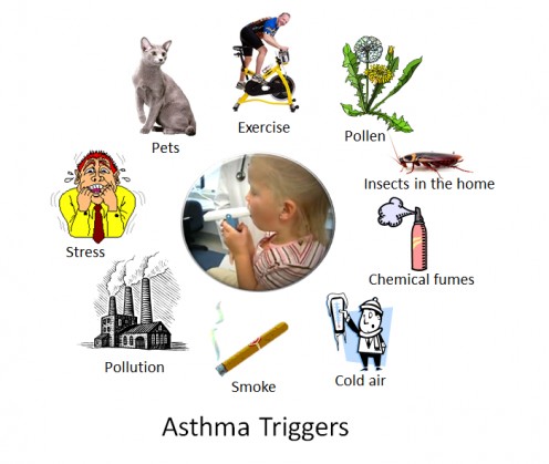 Asthma Triggers