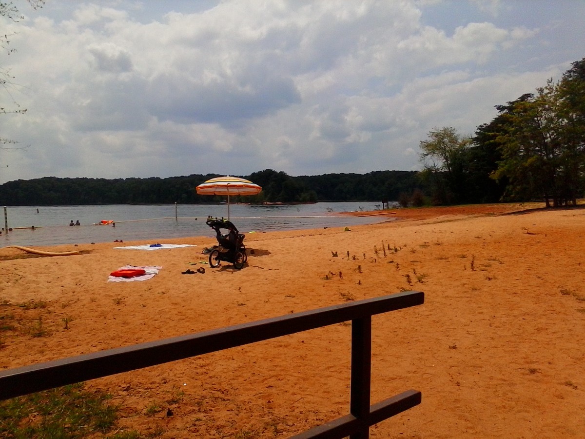 Review of River Forks Recreation Area on Lake Hartwell in ...