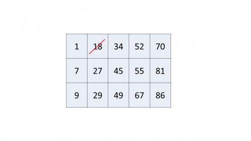 Tambola Ticket with Numbers