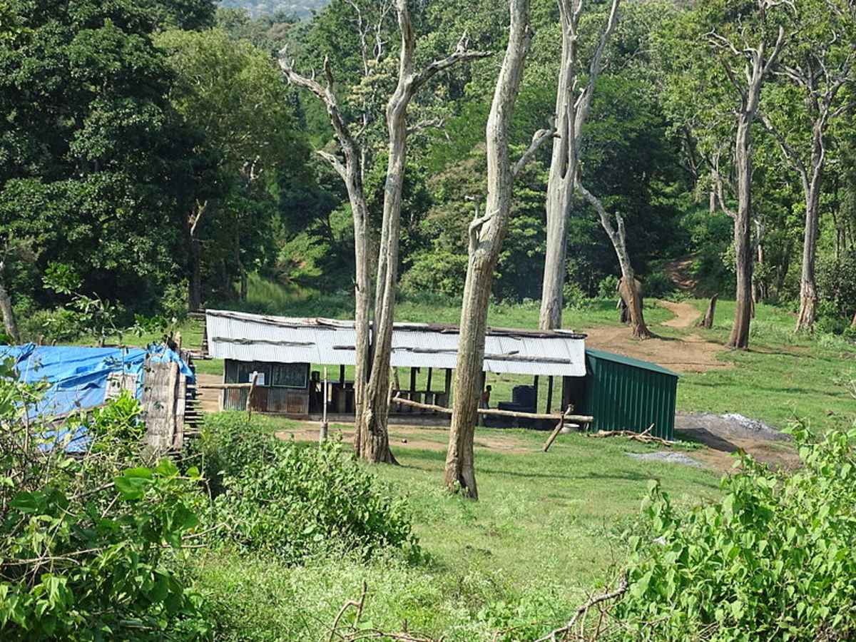 Elephant camp at the Mudumalai Tiger Reserve