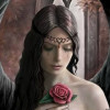 Ency Peterson profile image