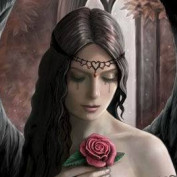 Ency Peterson profile image