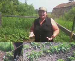 Growing Potatoes How To Hill The Plants
