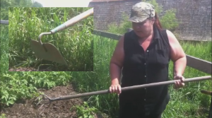 A hoe or a rake will be necessary to pull the loosened soil up around the potato plants.