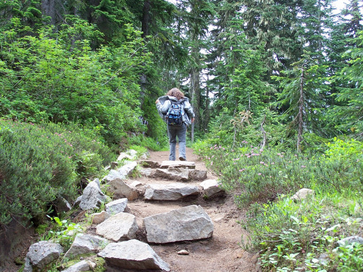 Choose the path that you want to take