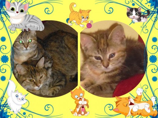 Tabatha and Meg when she was only 8 weeks old.