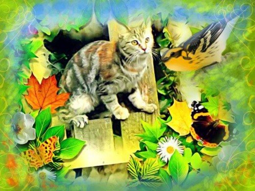R I P our sweet Meg.
