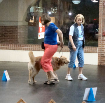 Teaching Rally Obedience at NSDTC.
